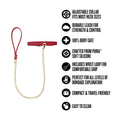 Temptasia Ardor Collar & Leash