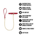 Temptasia Ardor Collar & Leash