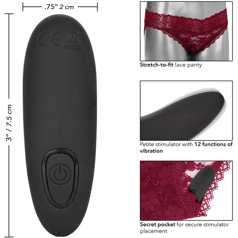 Remote Control Lace Panty Set