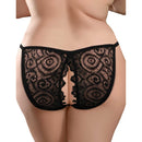 Hookup Panties Remote Lace Peek-A-Boo