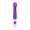 GC Flat Vibrator