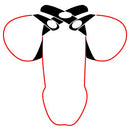 Leather Figure 8 Cock & Ball Divider