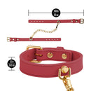 Temptasia Ardor Wrist & Ankle Restraints