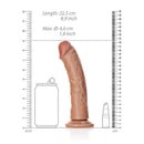 Curved Realistic Dildo Without Balls With Suction Cup